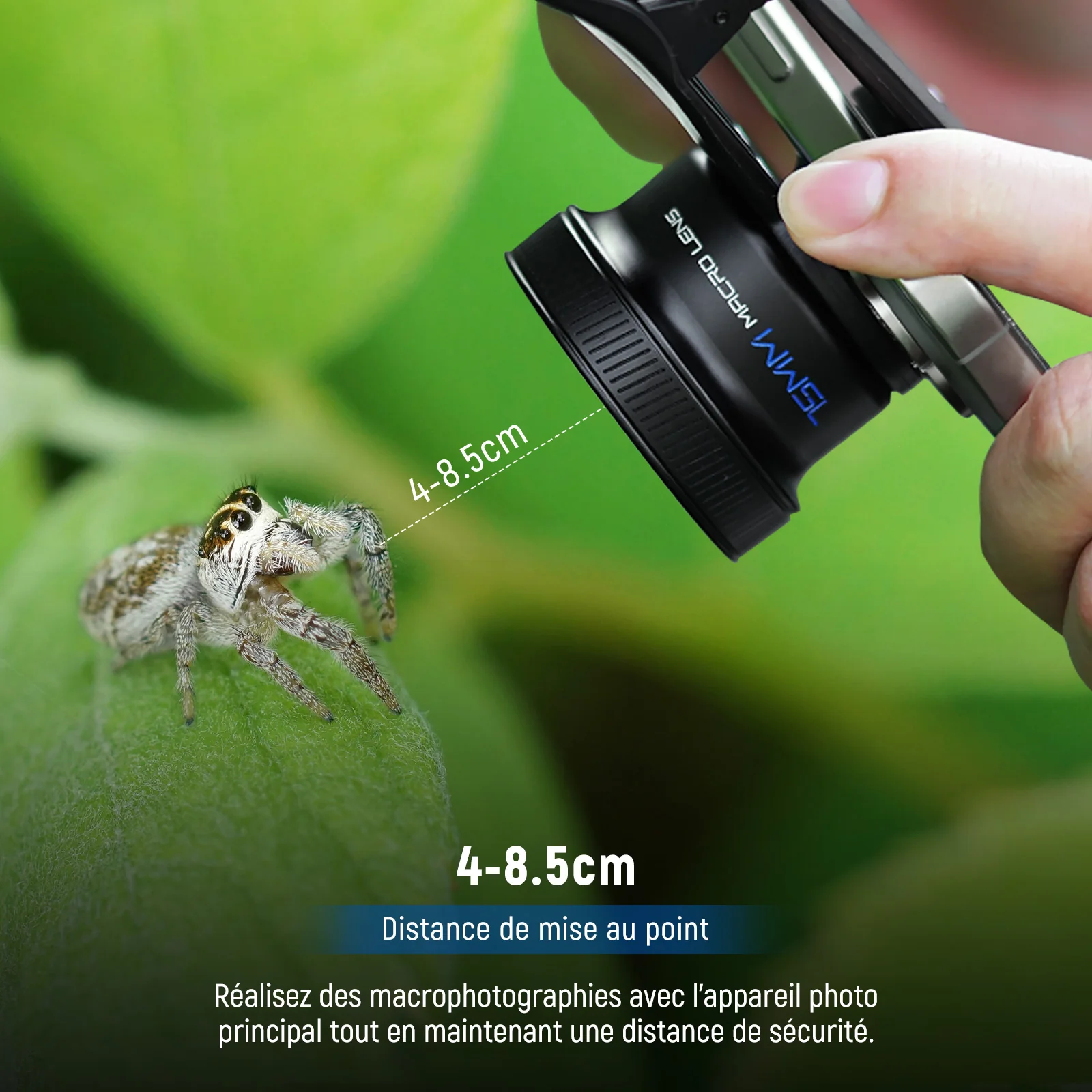 Miniature 2